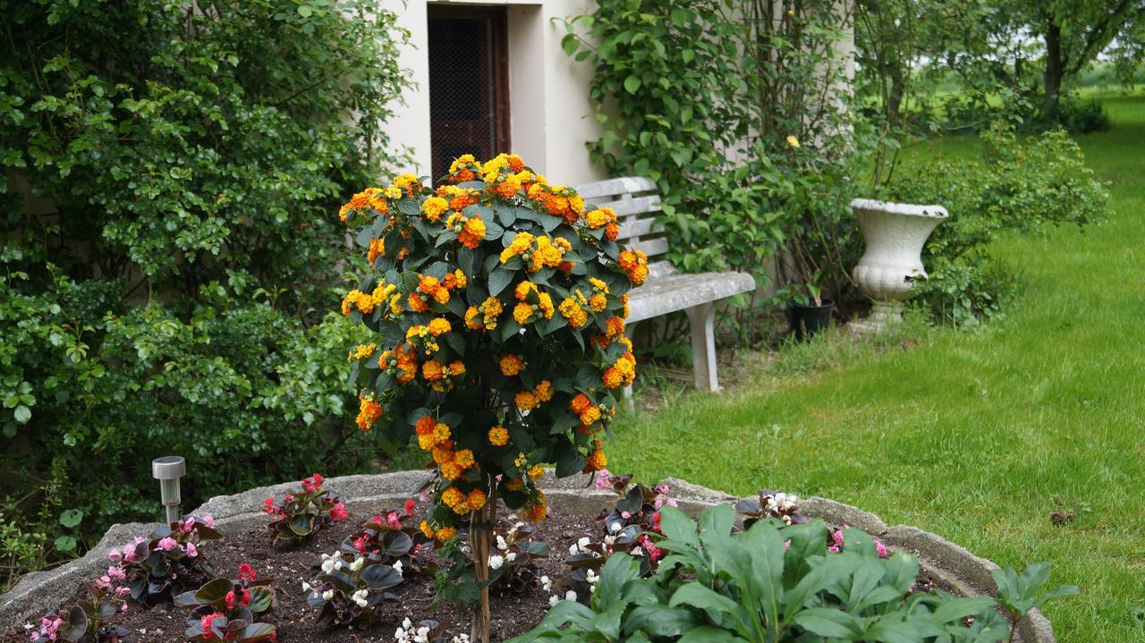 Richzenhainer-Hof Waldheim Exterior foto